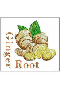 Plf041 - Ginger Root